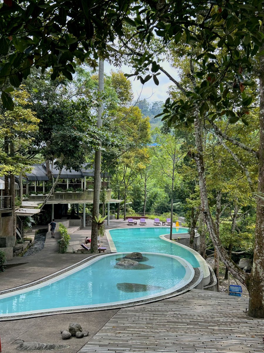 dwsptqum's tweet photo. 📍 Atsiri Jawa, Tawangmangu 🍃

Just found a new place buat healing. Tempatnya nyaman, tenang, dan udaranya sejuk banget. Cocok buat yang lagi burnout atau lagi butuh waktu untuk menenangkan pikiran, karena suasananya memang setenang itu dan nggak terlalu ramai.

Di sini ada minimum spend, tapi menurutku worth it karena banyak aktivitas yang bisa dicoba, mulai dari meracik parfum, bikin jamu, spa, dan berbagai pengalaman menarik lainnya.

Buat yang suka bunga dan tanaman, tempat ini bakal bikin betah. Koleksi tanamannya lengkap dan banyak yang dilengkapi dengan filosofi serta ceritanya masing-masing—mulai dari arti nama, alasan ditanam, hingga kenapa ditempatkan di area tertentu.

Pokoknya tempat yang pas buat healing, belajar hal baru, dan menikmati suasana yang damai sekaligus 🫶🏻🌿✨
