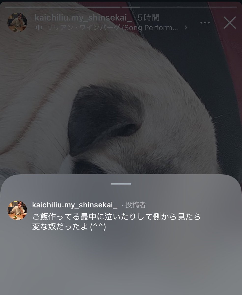 minnadebuu's tweet photo. カイチDr.ストーン見たんだ
趣味アニメだったと思うけど、今での話にあんまアニメの話出てこなかった気がする

響けユーフォニアムは見た？
それともリアルすぎて見てない？ https://t.co/2SKaXYVQo8