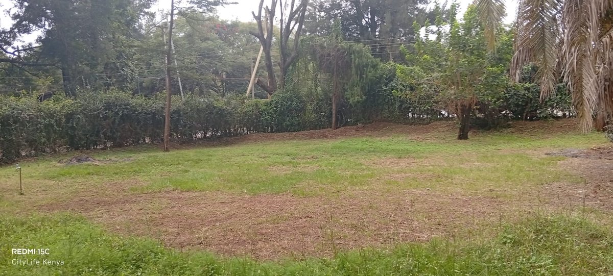 CityLifeKenya's tweet photo. PLOT FOR SALE KILIMANI 

Kilimani Off Elgeyo Rd and on Kilungu Rd, half acre corner plot of 50*400 plot
Fronting three roads and ideal for high rise apartment or commercial use.
On sewer

ASKING ONO KSH 260M NEG.

call/Whatsapp 0722892232 https://t.co/2gQpQiMDNc