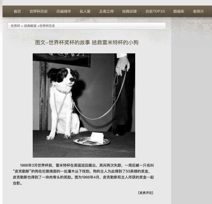 1Chihuas's tweet photo. 一只拯救过世界杯的狗“皮克勒斯”
很多国内外媒体都报道过
世界杯快到了发射世界杯狗
https://t.co/cWaggevtIX https://t.co/msMHxjSejs