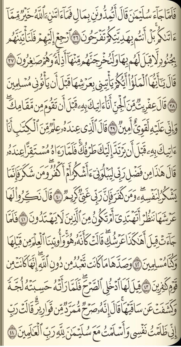 khalidbmb's tweet photo. وردك لا تخليه https://t.co/XTvpP02mxX