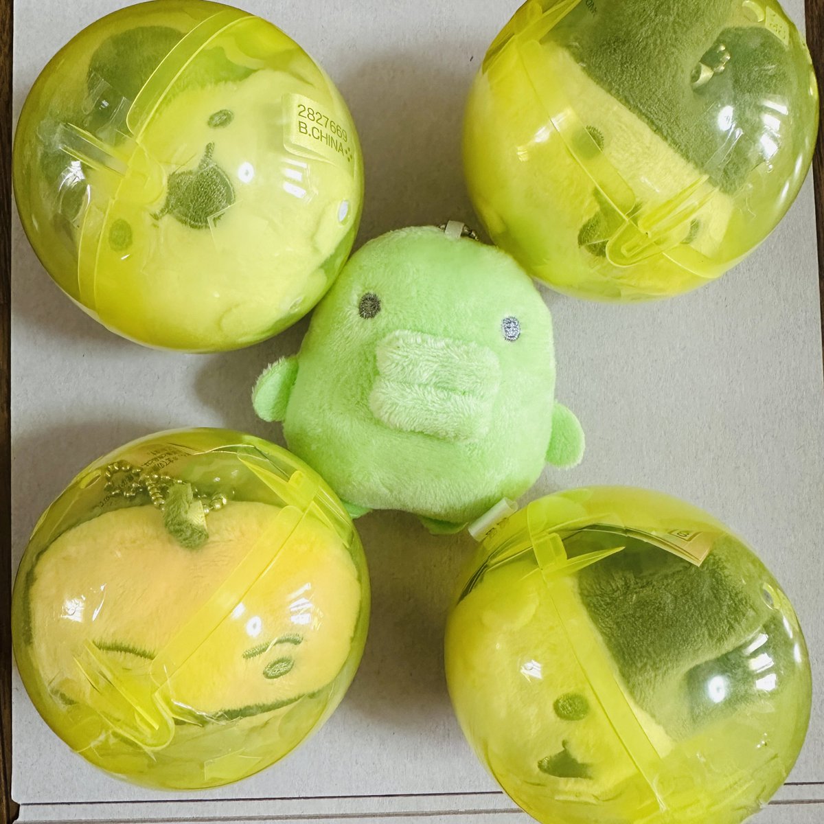 ___Rix42v's tweet photo. キャリーケースは現地で交換してもらえて
無事にコンプできたよ～😭✨️

ぬいぐるみ、、、
まめっち&amp;まるっちはどこへ、、、🥺 https://t.co/kYJlEDXvID