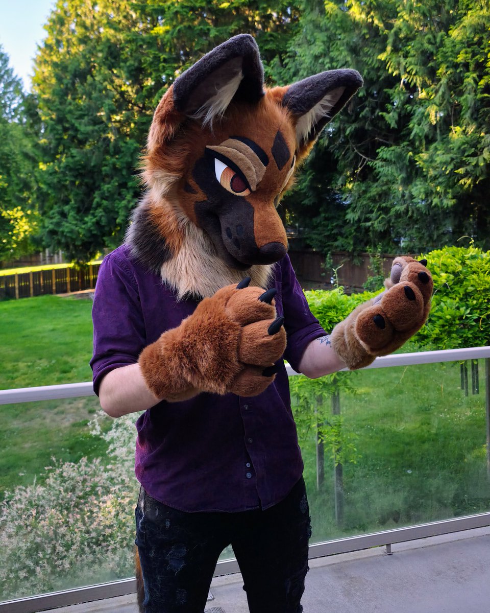 FluffVibrant's tweet photo. After an extremely long trip from @KitaKettu, Vale finally arrived!! Now how do you pose...

🪡@alphalyncis

#furry #fursuit #fursona https://t.co/tJVF5VrL4z