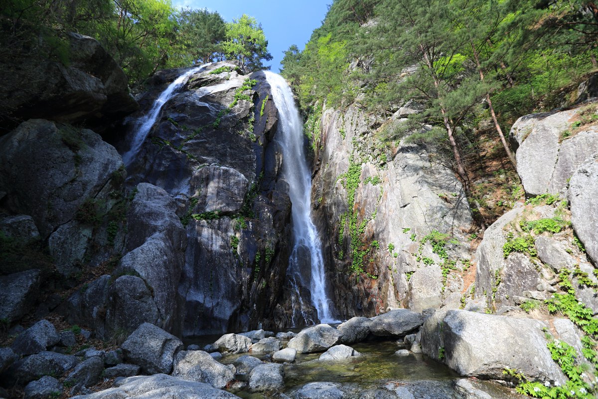 dprktrip's tweet photo. 万瀑洞地区

【妙香山】
無数の滝と奇岩怪石
壮大な景観

写真の飛仙の滝のほか
九層の滝、檀君祠などがあります
檀君祠まで登り7.1km

（写真：Martin Cígler） #北朝鮮 https://t.co/3OIsrRuuVy