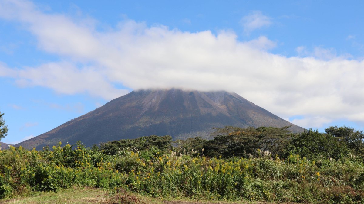 _BIO_Marche's tweet photo. 【鳥取・大山の麓で育つ、有機とろとろステーキなす】

鳥取県の大山ナチュラルファームを訪れました。

大山ナチュラルファームは、鳥取県・大山の麓に位置し、標高差のある冷涼な気候と豊かな水資源に恵まれた環境で、野菜づくりしています。

大山の麓にある伯耆町では、今年も、有機とろとろステーキなすの栽培が始まっています。

訪問した際の畑には、植え付けを終えたなすの苗が一面に並び、これからの生育を待つ様子が広がっていました。

「有機とろとろステーキなす」は、大ぶりで実がしっかりとしていながら、加熱すると果肉がやわらかくとろけるような食感になるのが特長です。

皮は比較的しっかりしていますが、火を通すことで中の果肉がとろりと崩れ、ジューシーな食感になります。なす本来のうま味と甘みが引き立ち、焼くだけでも満足感のある一品になります。

焼いて食べるのはもちろん、生でも食べることができます。生で食べる場合は、あくが気になる方は軽くあく抜きをしてから、浅漬けやマリネなどにしてもおいしくいただけます。

お届けは7月初旬から9月中旬頃までの予定。
大山の麓の豊かな環境で育つなすは、これから夏に向けて生育が進みます。

#鳥取 #大山ナチュラルファーム #有機とろとろステーキなす #有機栽培 #有機農業 #ビオマルシェ #ビオマーケット
