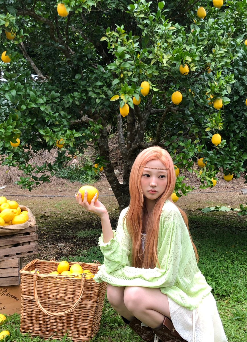 9aedung2's tweet photo. 레몬 공구팔이해도 다살거임 후… https://t.co/ciPjAGMh5r