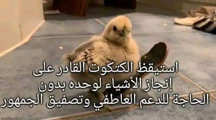 A piece of Life tweet media