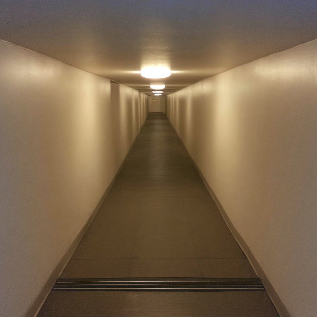 liminal_s's tweet photo. https://t.co/tTlJlAL9CT