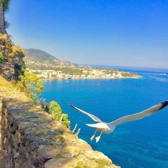 Patrizia💙 tweet media