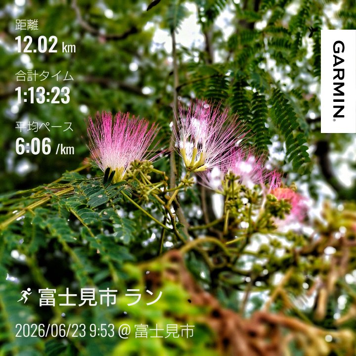 KikuzoooMakoto's tweet photo. 12キロスロージョグ。
いろは親水公園コース。ちょっとは調子が戻ってきたか,,,
足元はトポのファントム4。
#ランニング
#スロージョグ
#足道楽プラスららぽーと富士見店
#新河岸川
#いろは親水公園
#topoathletic https://t.co/BIxN92thkz