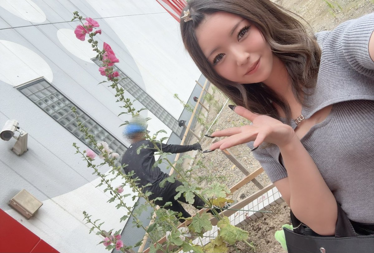 mutimutiGAL's tweet photo. サンエダさんの花壇にこんな可愛いハナが元気に咲いてる🌼♡♡

記念にパシャリ📷✩*°

なんのお花だろうって調べてみたら⤵
ハイビスカスに似た鮮やかな花だって😍

 #サンシャインKYORAKU植田店 ｻﾏ
 #パチスロモンスター PR https://t.co/FELqOdWSl3