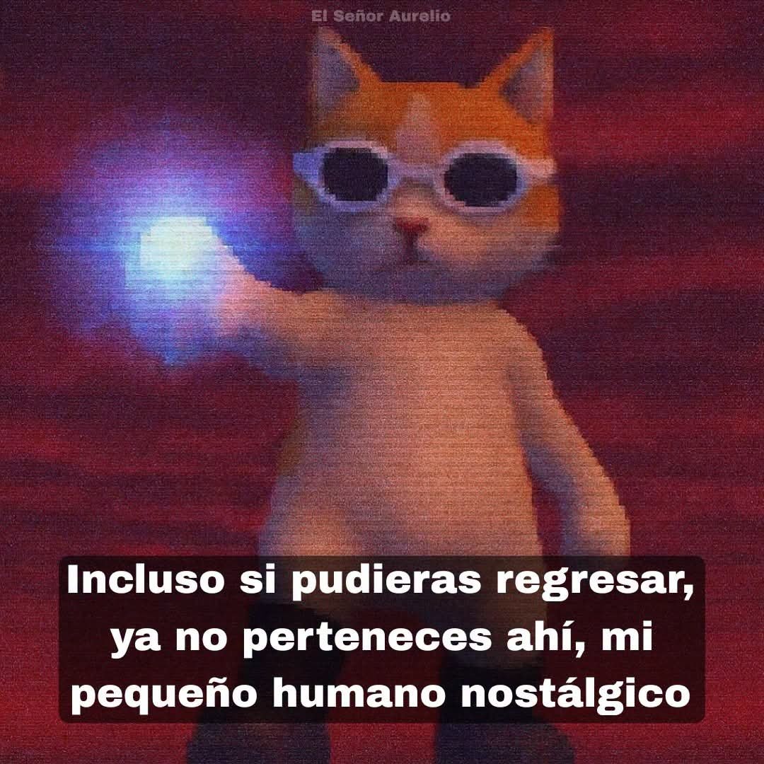 Memes para Otakus Gaymers de Closet en Inglés tweet media
