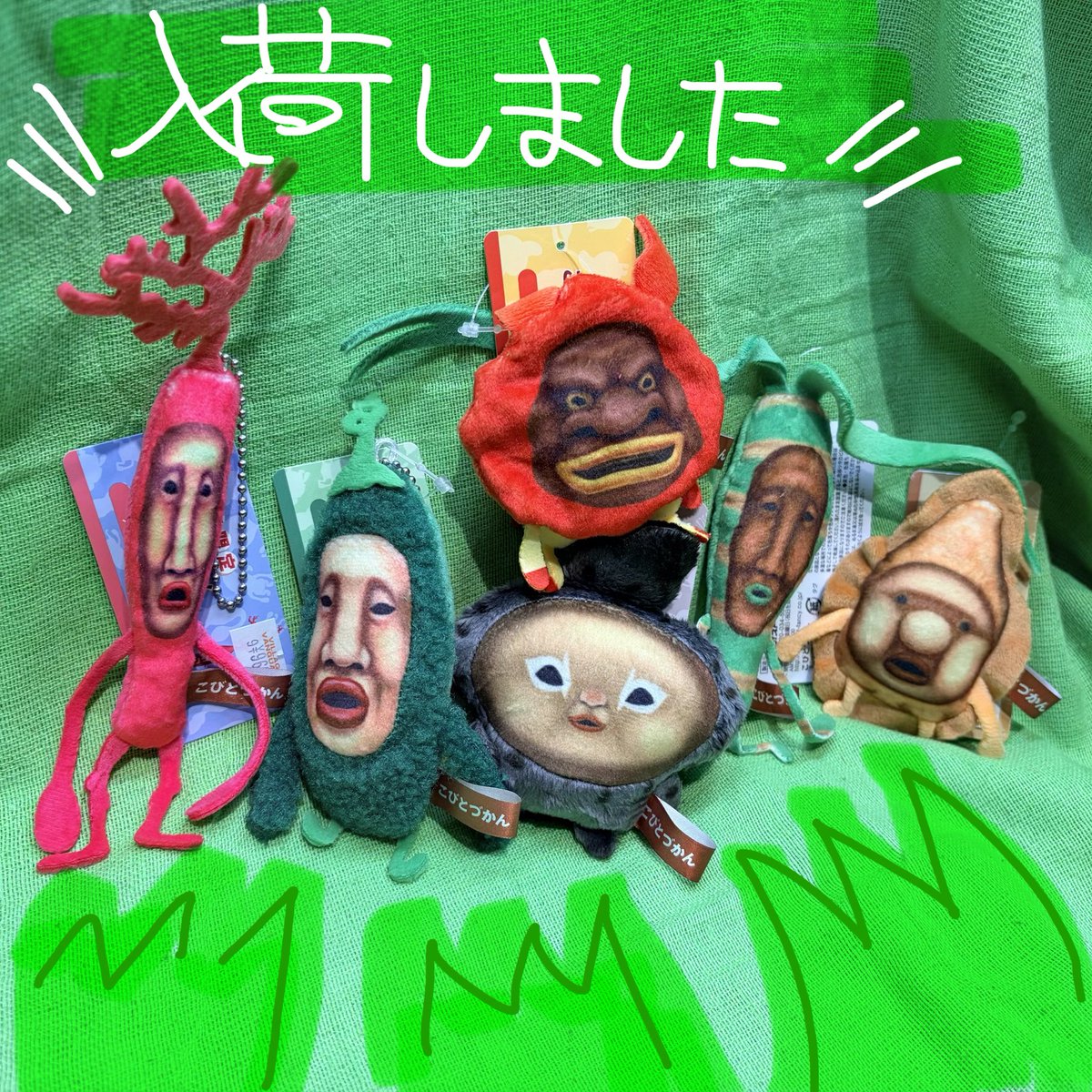 VrycomV's tweet photo. \\\ 新商品入荷のお知らせ ///

【沖縄限定こびとづかんミニマスコット】
が本日入荷しました！

⚠️こちら大変人気な商品のため、おひとり様各種ひとつずつまでとなります。
#沖縄限定こびとづかんミニマスコット
#こびとづかん https://t.co/ClTfdP257m