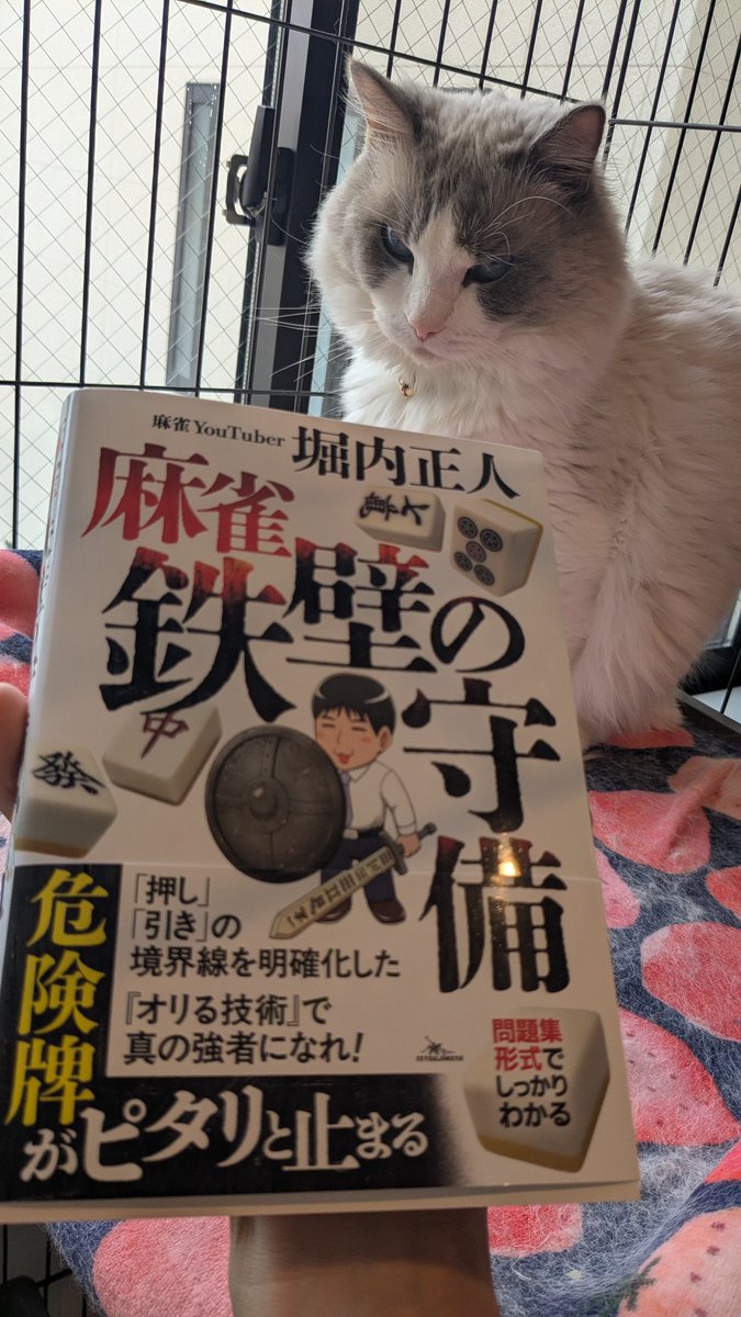 うに丸 うに丸 (@shikuraunimaru) / Posts / X