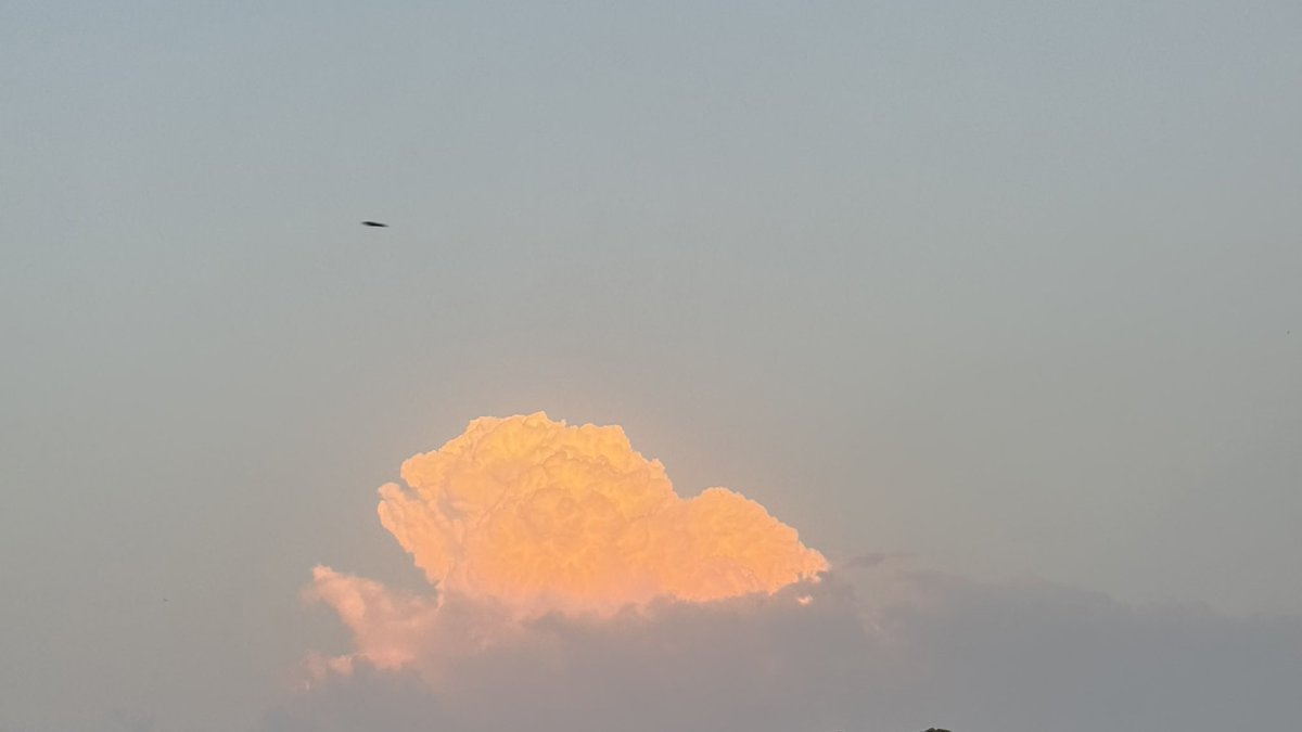 atheer_1718's tweet photo. 🌅🐎☁️🧡 https://t.co/xSgPhN9dKV