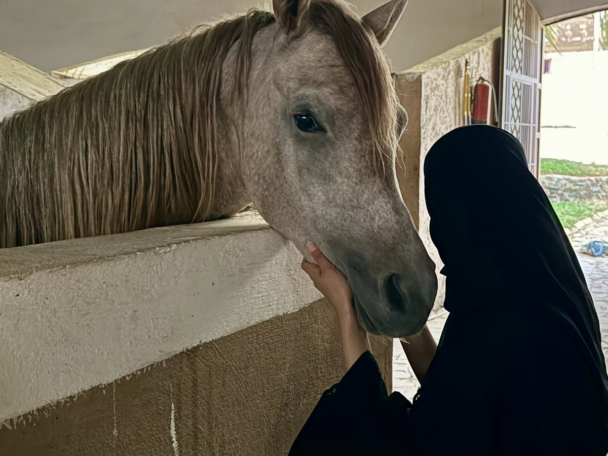 atheer_1718's tweet photo. 🌅🐎☁️🧡 https://t.co/xSgPhN9dKV
