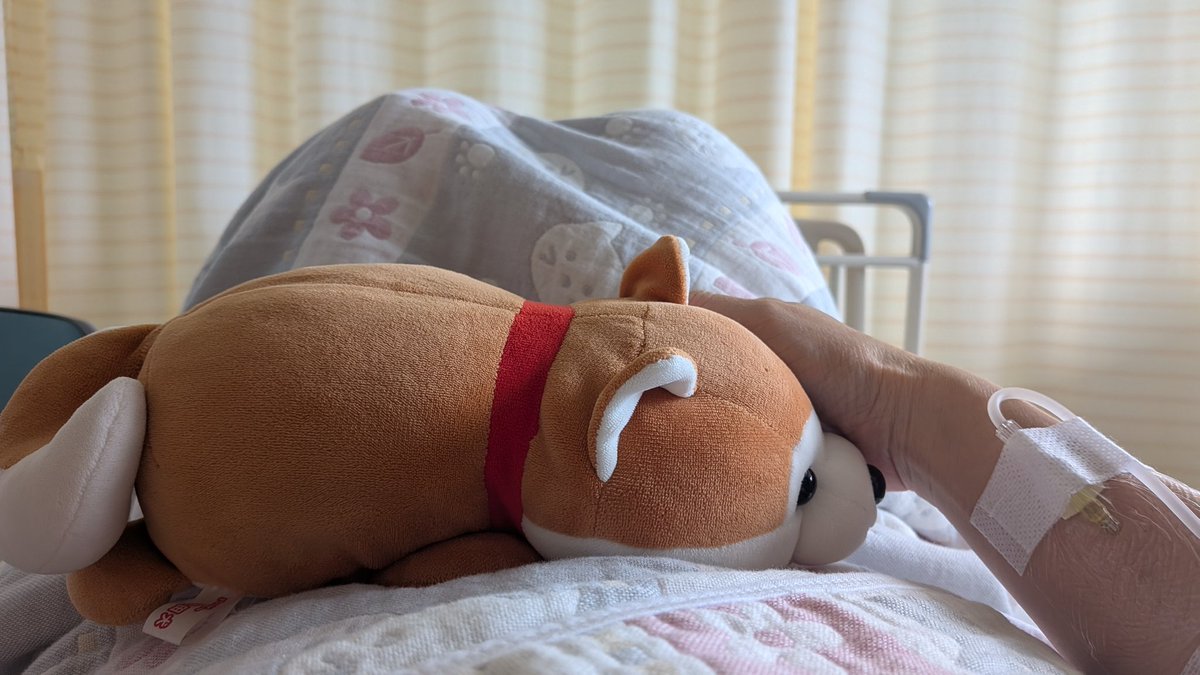 Niy213's tweet photo. 無事に抗がん剤治療仕切り直し、終了✨
あとは副作用と闘うだけでーすw
あまり出ないことだけを祈る。
点滴も外れた！ https://t.co/Vkq3bu0iBO