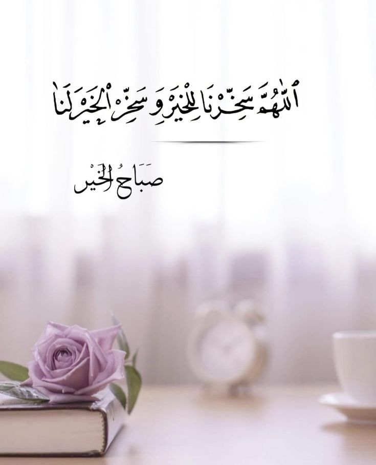 AHM__ED84's tweet photo. يا فالق الإصباحِ هب لقُلوبنا في كلّ صُبحٍ مُشرقٍ توفيقا🤲🤍

صباح الخيرات✍️...🌷

#صباح_الخير_والسعادة 
#صباح_الأشياء_المُشرقة 
#صباح_الخيـر 
#كاس_العالم_٢٠٢٦ https://t.co/hw0z9xvQGT