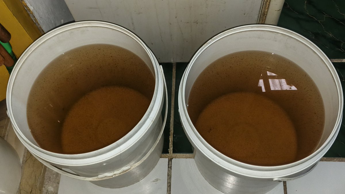 zchernle's tweet photo. yang bener aja tiap hari harus mandi, masak, cuci muka pake air kayak gini? udah mau seminggu loh air pam sekotor ini, banyak kotoran pula help 😭 @TirtaPatriot https://t.co/xZKSmblhep