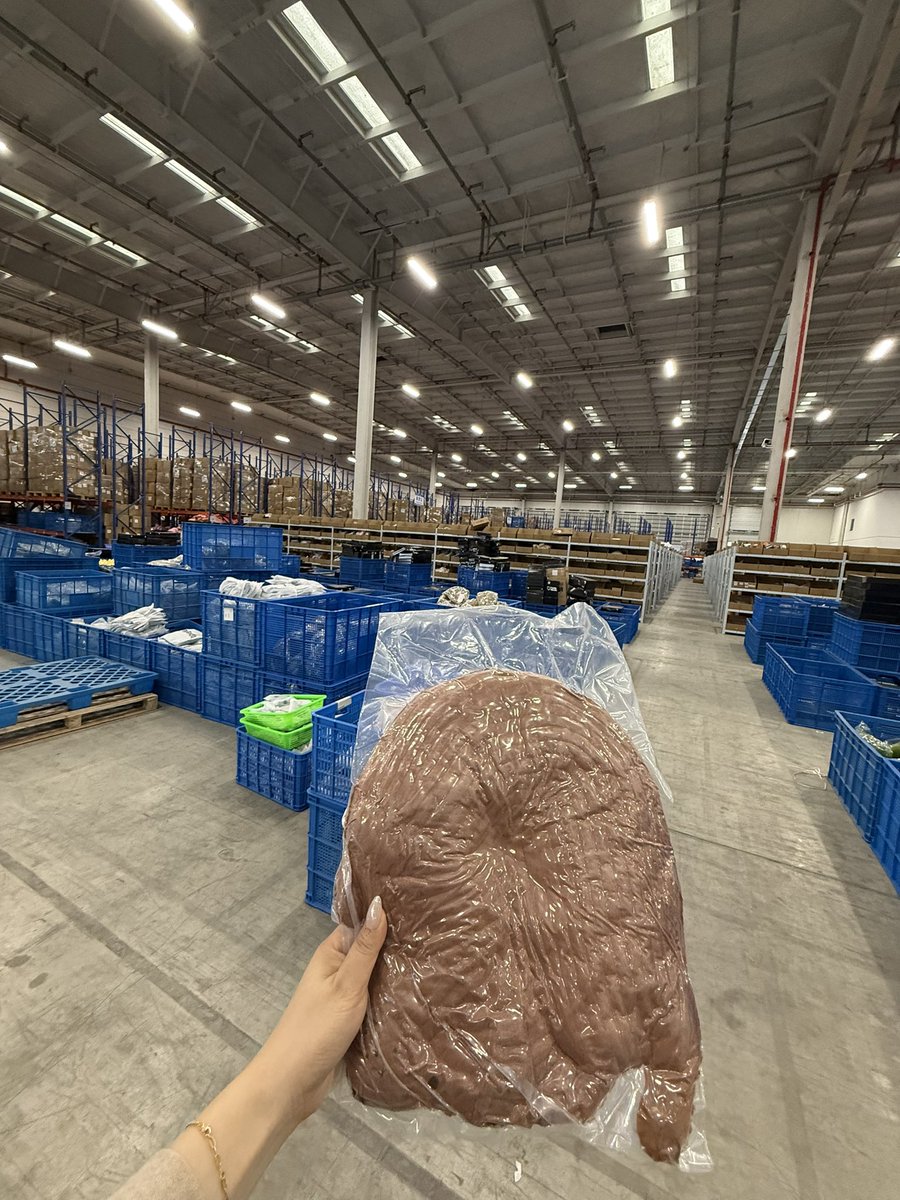 AlaiaLee27's tweet photo. This is where your orders come to life. 

Real shelves. Real inventory. Real people packing with care. Not a stock photo. Not a fancy render. Just honest work from a supplier who takes fulfillment seriously. 🏭📸

#shopifysuppliers #ChinaSupplier #Ecommerce https://t.co/I5U3HecWnn