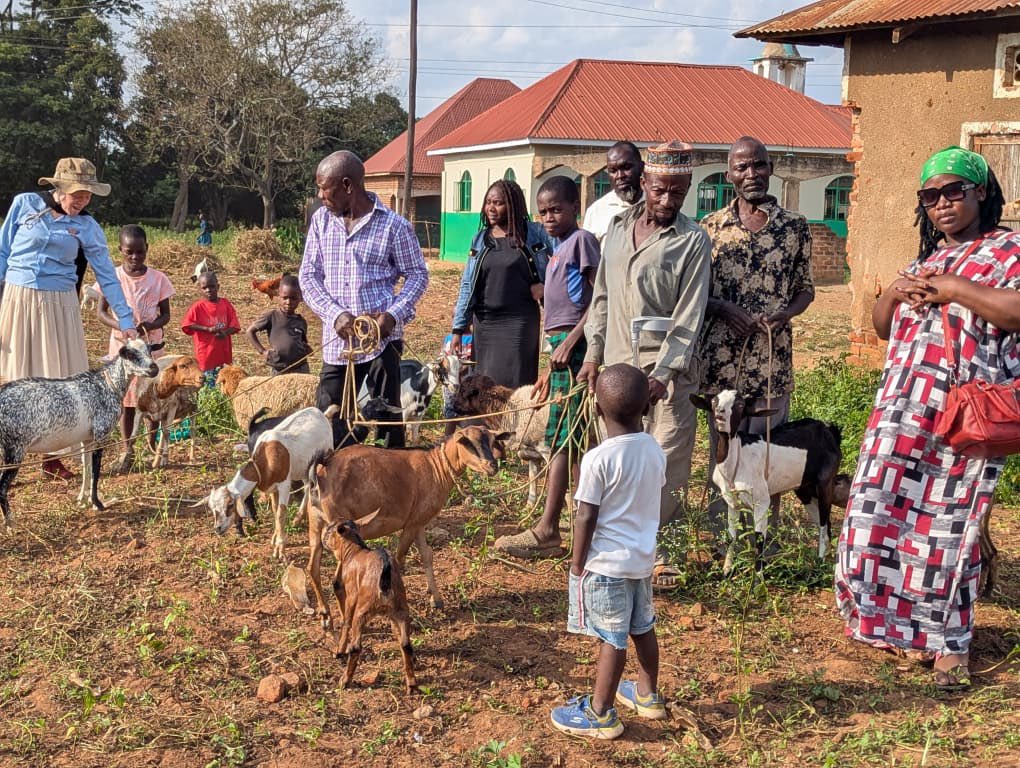 WODHI_org's tweet photo. Yesterday, our ED @RechoKarleen, who also serves on the Iganga District Disability Council, joined fellow council members in a monitoring exercise to assess the progress and impact of the Disability Special Grant among beneficiary groups in Iganga District. https://t.co/i2Xh2LCmDJ