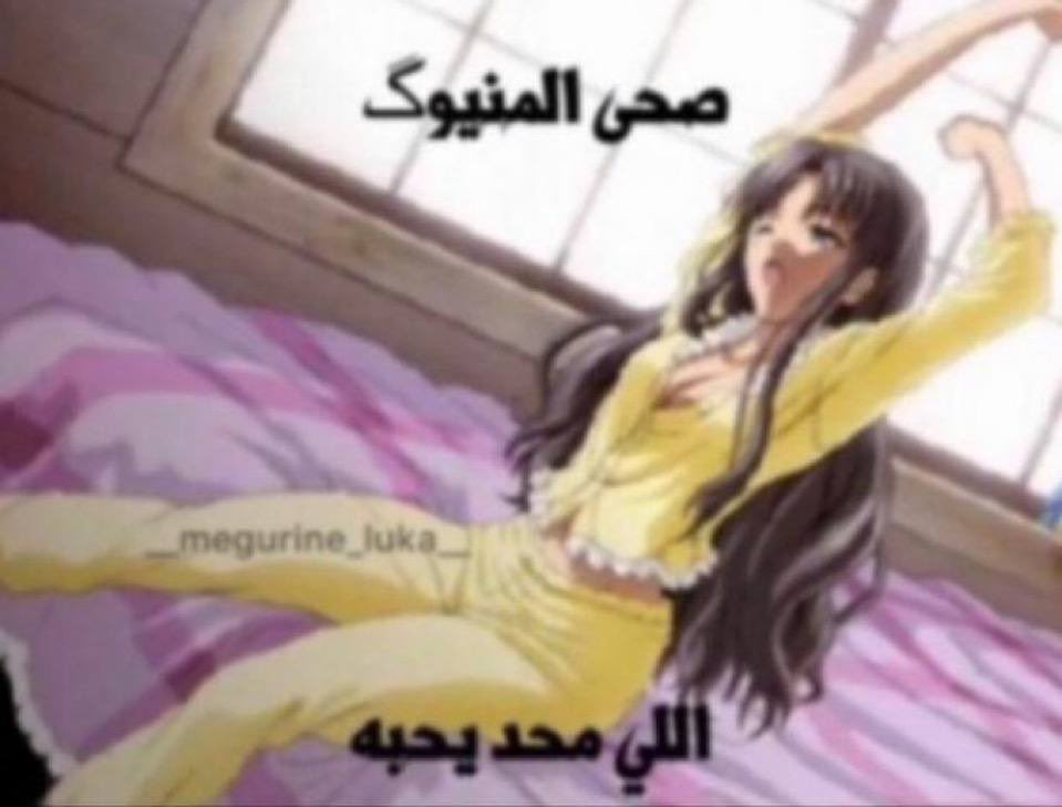 wslb_'s tweet photo. ثباحو 😽 https://t.co/aVAEpPlH9r