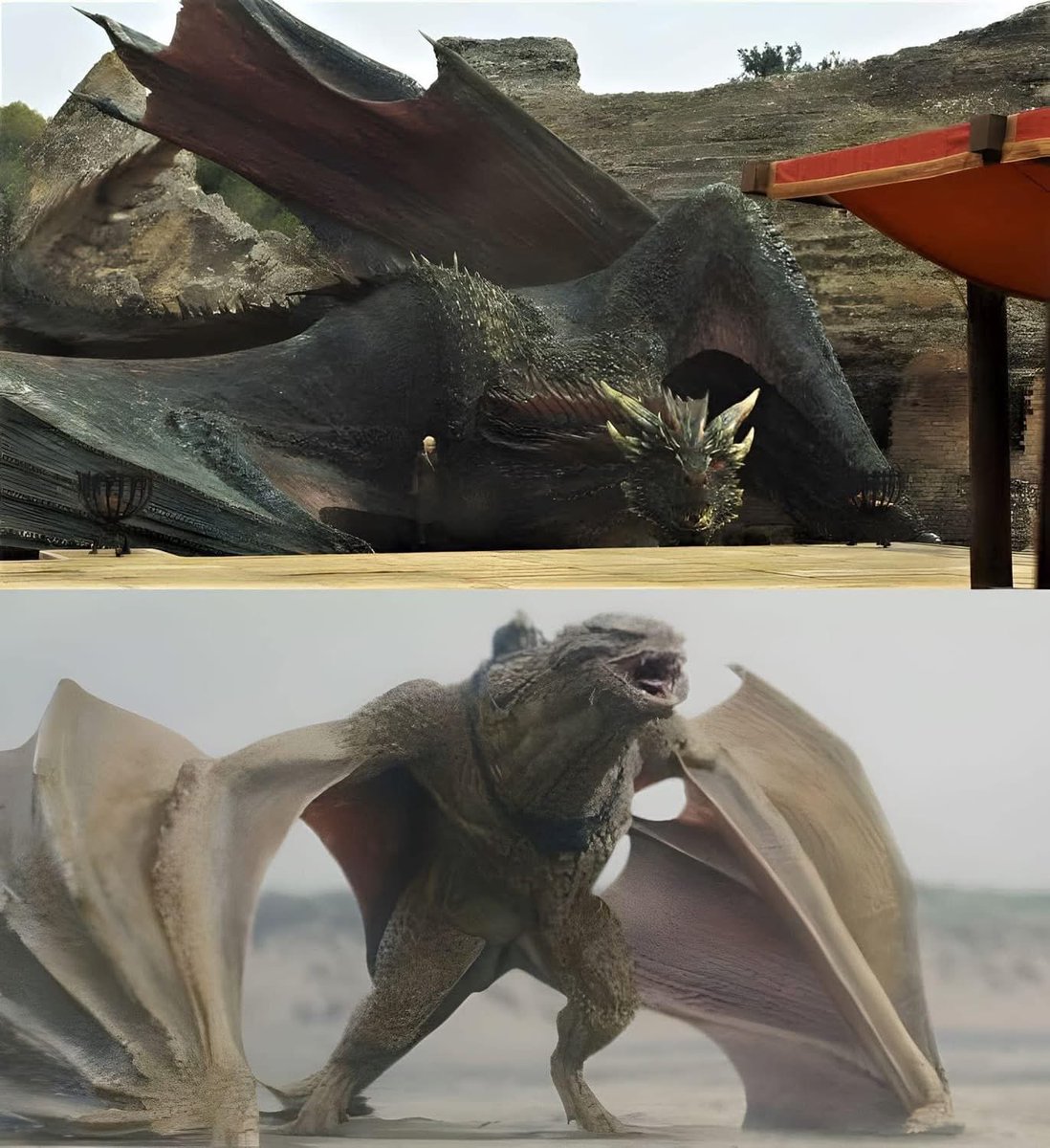 SiezerW's tweet photo. Drogon at 7 vs Syrax at 35. Dragons grow all their lives provided there’s nothing inhibiting them https://t.co/7Qxqdnlg3e