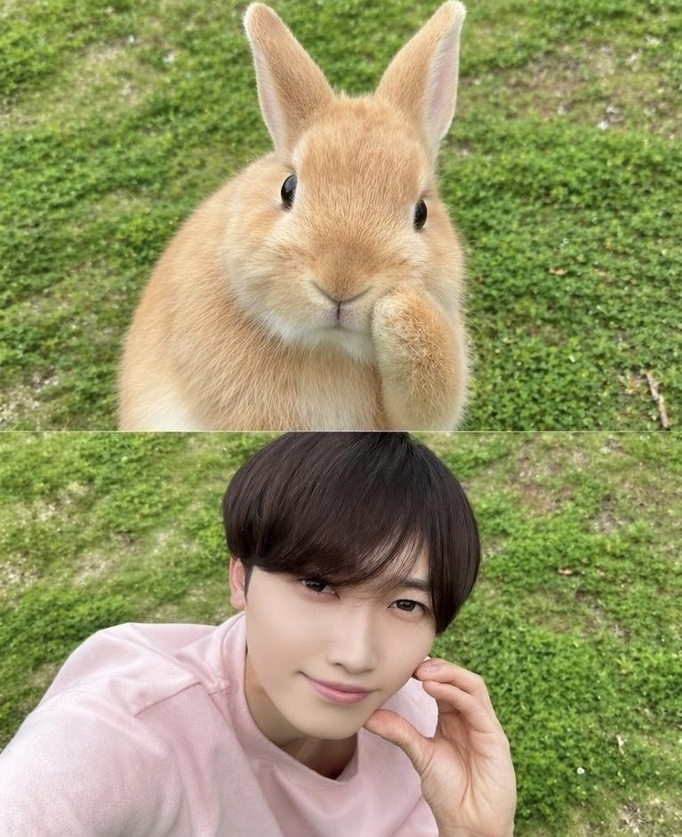 Daiki_mirror5's tweet photo. 緑が自然なところに来たよー！
はいチーズ ෆᐢ. ̫.ᐢ ܸ https://t.co/ZCRTFtQoBU