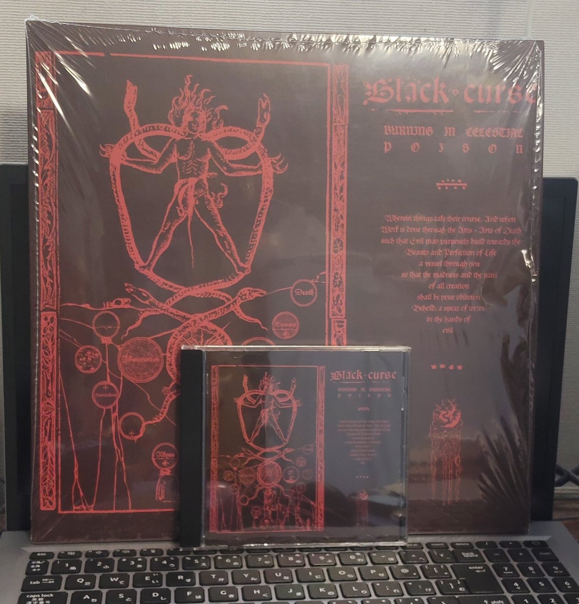 vivelamort's tweet photo. black curse の2nd最高過ぎて、LPも買ってしまった。 https://t.co/Hu8F1toaB2