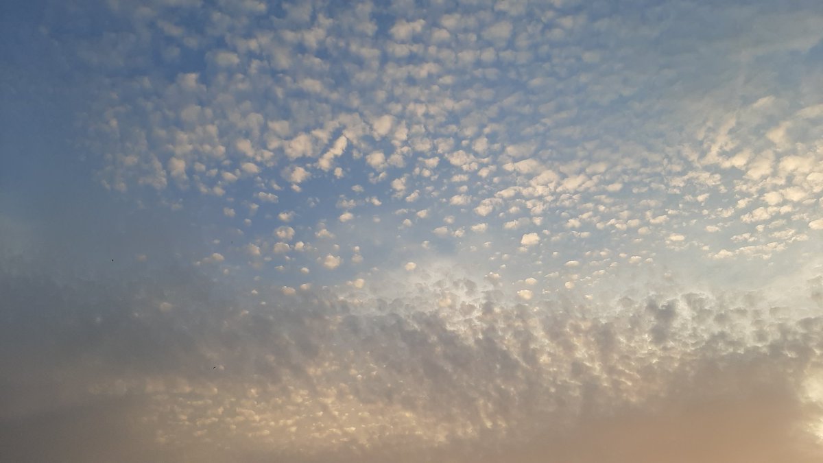 GaWandelen's tweet photo. ❗

Het wandelweer voor vandaag (dinsdag) is redelijk. Er is veel zon, maar in het zuiden eerst ook bewolking en in Zeeland mogelijk wat regen. Met 25 tot 31 graden is het warm tot zeer warm. ☀️

Draag een petje, denk om de zonkracht, drink tijdig en voldoende en pauzeer vaker. https://t.co/Lk7QlisEuz