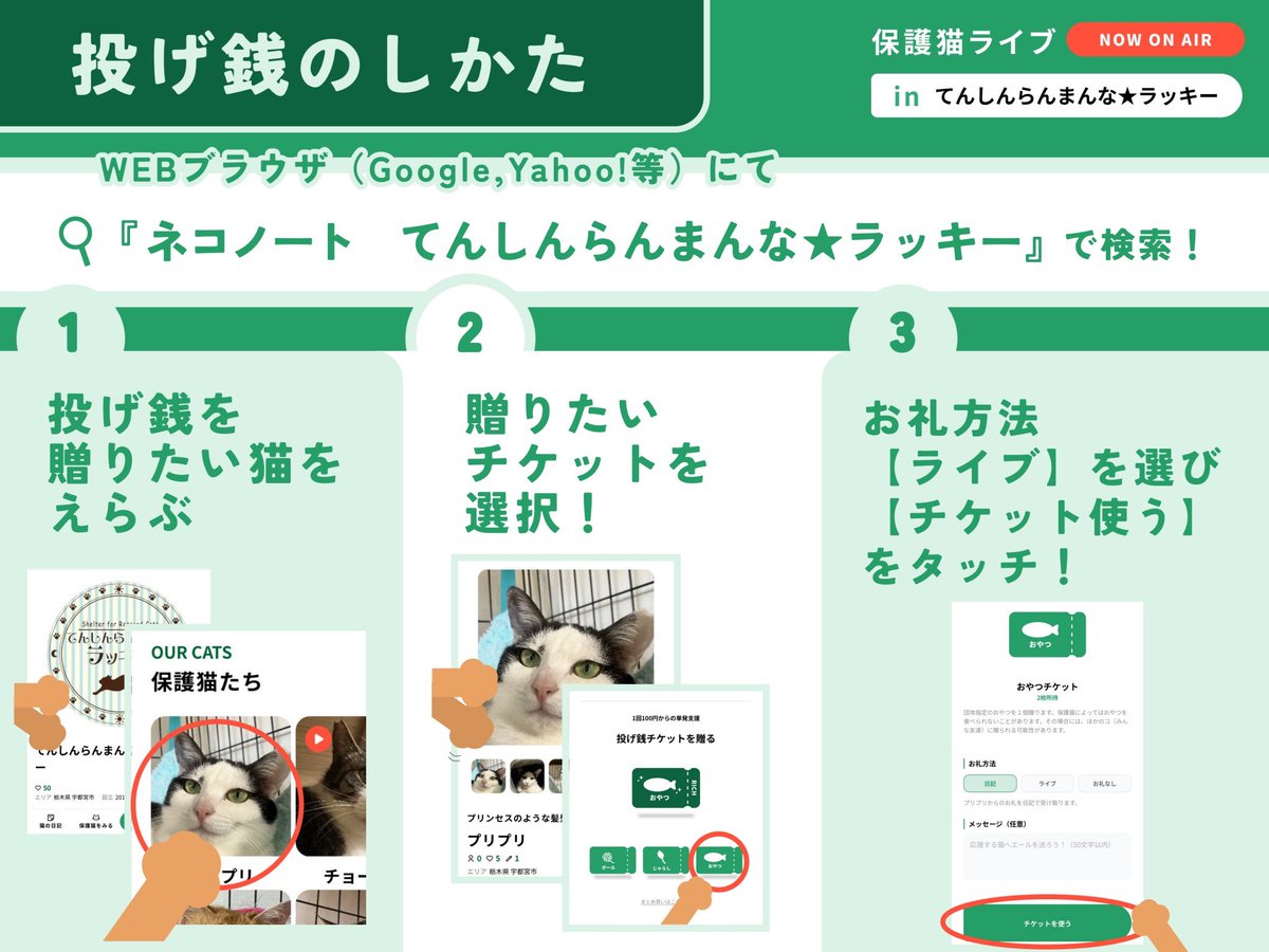 neco_note0222's tweet photo. /
本日20時から！
てんしんらんまんな★ラッキー(@luckycatproject )さんとインスタライブをお届け！！
\

ライブでは保護猫支援につながる投げ銭をすることができます✨
配信前から投げ銭募っておりますのでぜひ気になる猫へ贈ってみてください♪

▼投げ銭はこちらから
https://t.co/BBo8gplm07 https://t.co/e0hmqwzrUA
