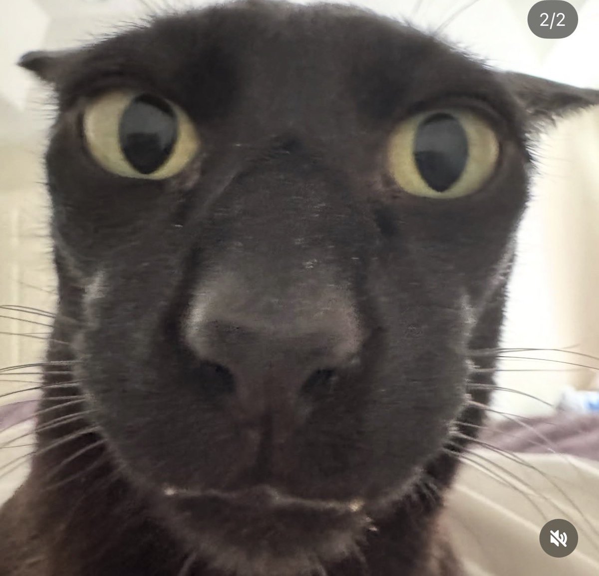 nokizzy69's tweet photo. if your life is in a constant state of calamity i am avoiding u https://t.co/LBeBAVUvCc