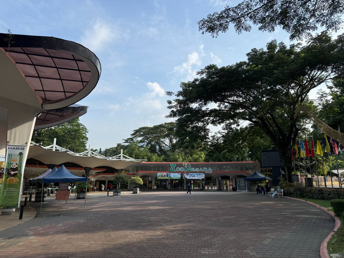 TsunaguASIA's tweet photo. KLにあるZoo Negara、思った以上に広い…🐅

マレーシア国立動物園で、パンダ館もあり(別料金🐼)
朝早く行ったら人も少なくて、子供たちも動物も元気✨

KL在住の週末候補として優秀🌴

#マレーシア生活 #KL生活 #ZooNegara https://t.co/LHtq2QKGer