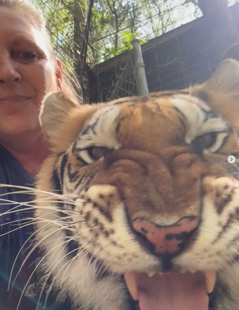 pureownd's tweet photo. In 1996, all of it became The C.A.R.E. Foundation — now a permanent home to 200+ exotic animals that can't be released back into the wild.
Decades of one person's expertise, turned into a refuge. 🐾 https://t.co/KhWdqtuR6S