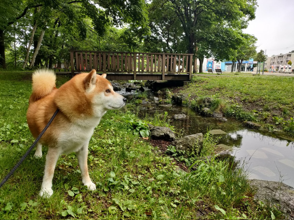 ezono_'s tweet photo. 何年ぶりかの🍣トリトン💕 https://t.co/KIIrjUXeBO