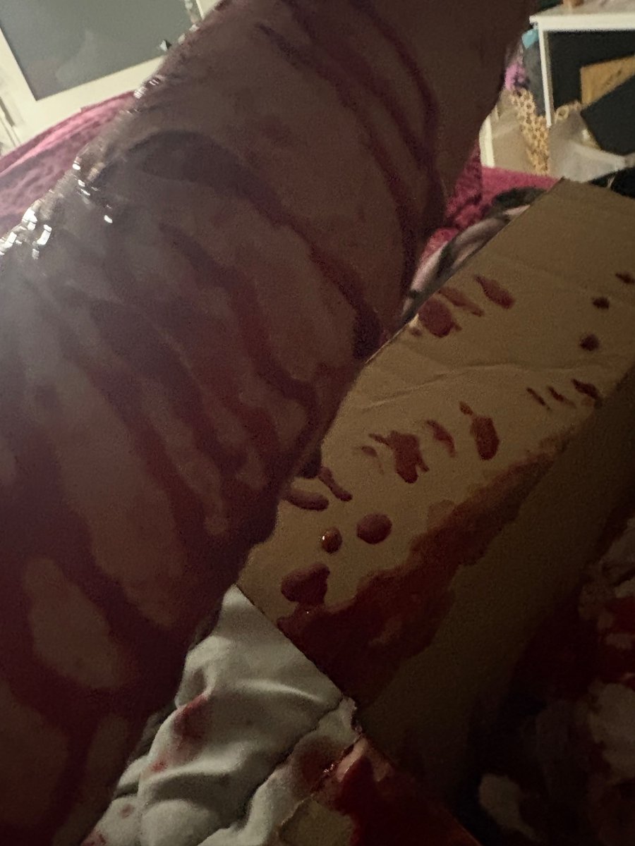 Sharktophus's tweet photo. @_meowmeowfinn Here u go twin 
(Beans and styrossss) https://t.co/IyyorXO2pF