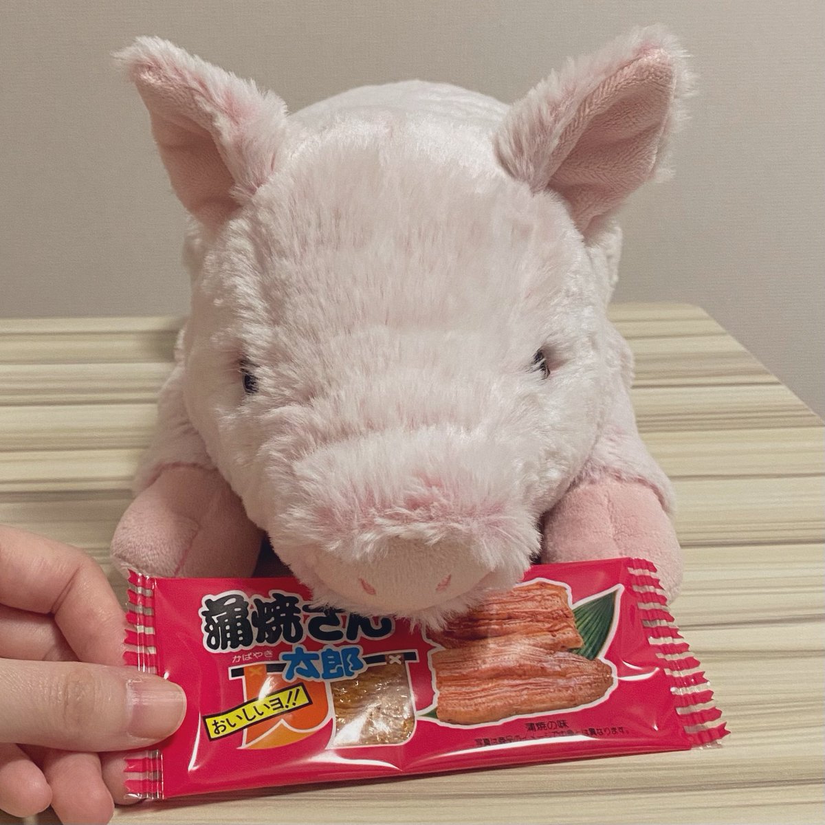 gph2_202's tweet photo. これはキャベツのおやつですっ！
#サンレモン #ひざぶた https://t.co/aaIVKnyWd2