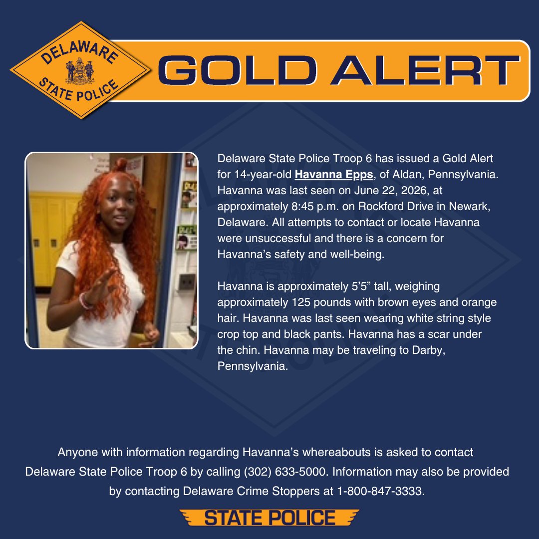 DEStatePolice tweet picture
