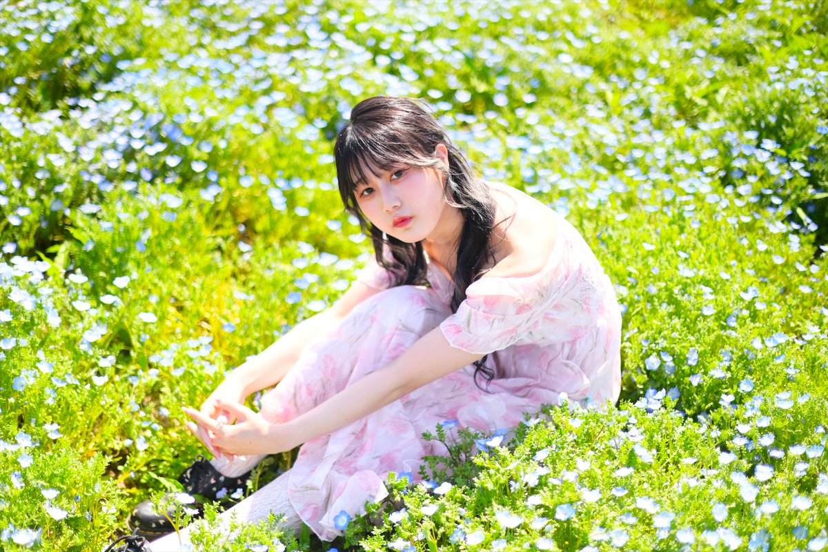 ネモフィラ