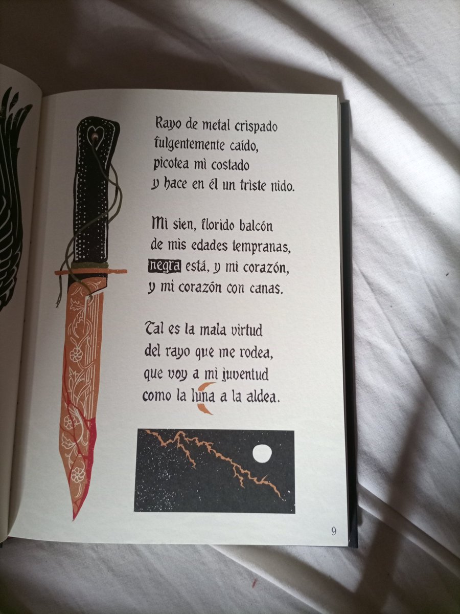 IberaTormenta's tweet photo. https://t.co/aolIORgnMK