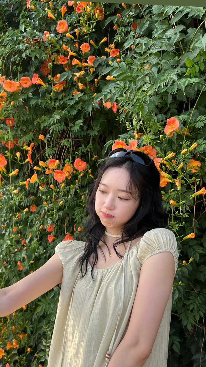 hanjijively's tweet photo. 아진짜 ㄴㅁ예뻐서 믿기지 안ㅎ아........ https://t.co/WCzd5OrlGU