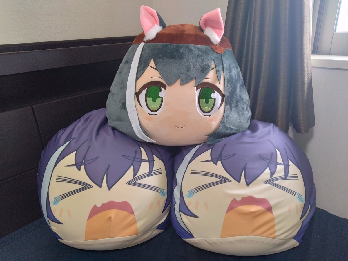 _eruru_'s tweet photo. うちのキャルちゃんが遂に三姉妹になりました https://t.co/OExGUGVCV7