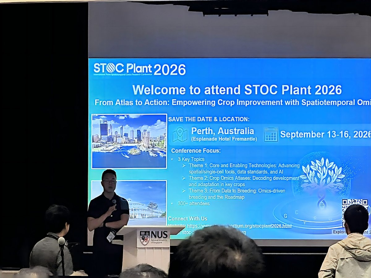 ST_Omics's tweet photo. 🌿 Great turnout at #ICAR2026! Dr. Xun Xu (BGI) presented "High-resolution Spatiotemporal Multi-omics in Arabidopsis and Beyond," showcasing how #StereoSeq is unlocking single-cell resolution spatial multi-omics in plants. Thanks to everyone who joined the talk! 🌱#STOmics #SpatialOmics #Arabidopsis #PlantScience