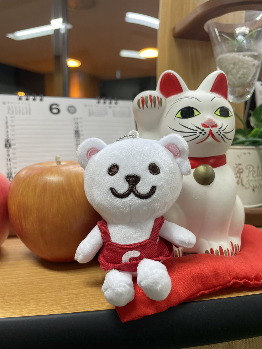 eminakumina's tweet photo. 今日は琴さんとラジオdeトドック！
ゲストはトドックアンバサダー仲間の トドックマニアさん&amp;あーやんさん💗
あーやんさんのトドック偏愛トークが楽しみ😊マニアさんはトドックアンバサダーの創設者なので、どーんと構えてくださることでしょう…！ 
 #ラジトド #トドック #トドックアンバサダー https://t.co/fp7o5HJLvX