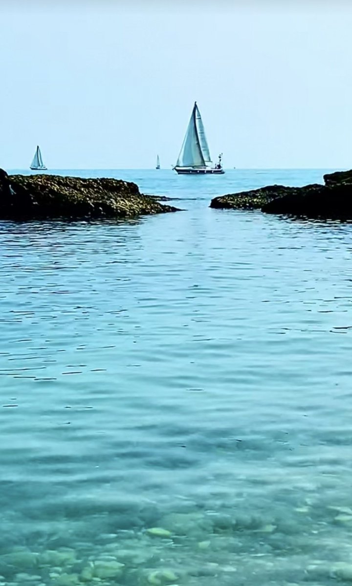 Antonios_evia's tweet photo. ....✍️
Όμορφα τα ταξίδια του μυαλού...σε πάνε εκεί που θέλεις...και ζεις την κάθε του στιγμή...μέσα από εικόνες που θα πλάσεις...!!!

Καλημέρα...............🌹⛵️ https://t.co/QXpX86UDwW
