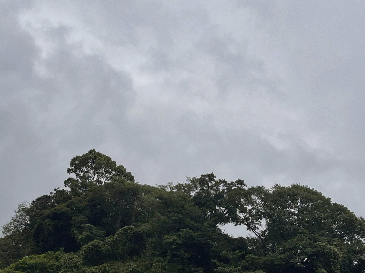 milman26's tweet photo. 最近事に及ぶ数秒前みたいなssばっか書いてる気がする
次のもそうです() https://t.co/GJmSgBxCfk