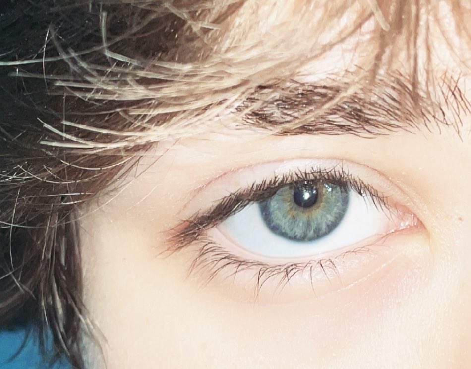 number_1_erm's tweet photo. @Syn_daCAT we have the same eyeballs omg https://t.co/WG9YdqcY9a