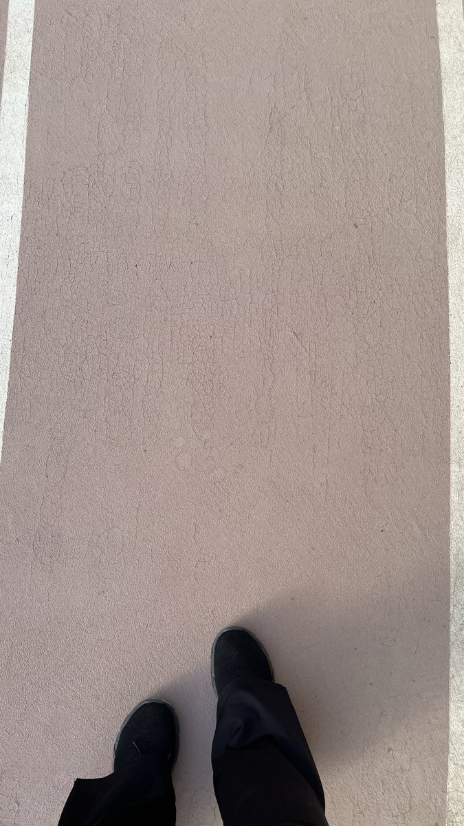 sheskr's tweet photo. Early morning walks https://t.co/r4UFDkrekG