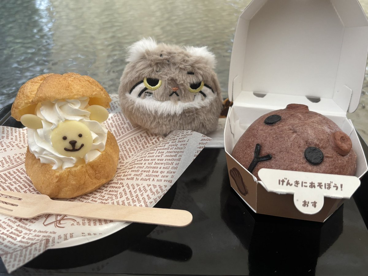 49ret94's tweet photo. お昼はこれ食べた！
アルパカシュークリーム、最初は生クリームだけかなと思ったら下の方に硬めのプリンみたいなカスタード入っててめちゃうま🥳 https://t.co/5RnpCzCScH