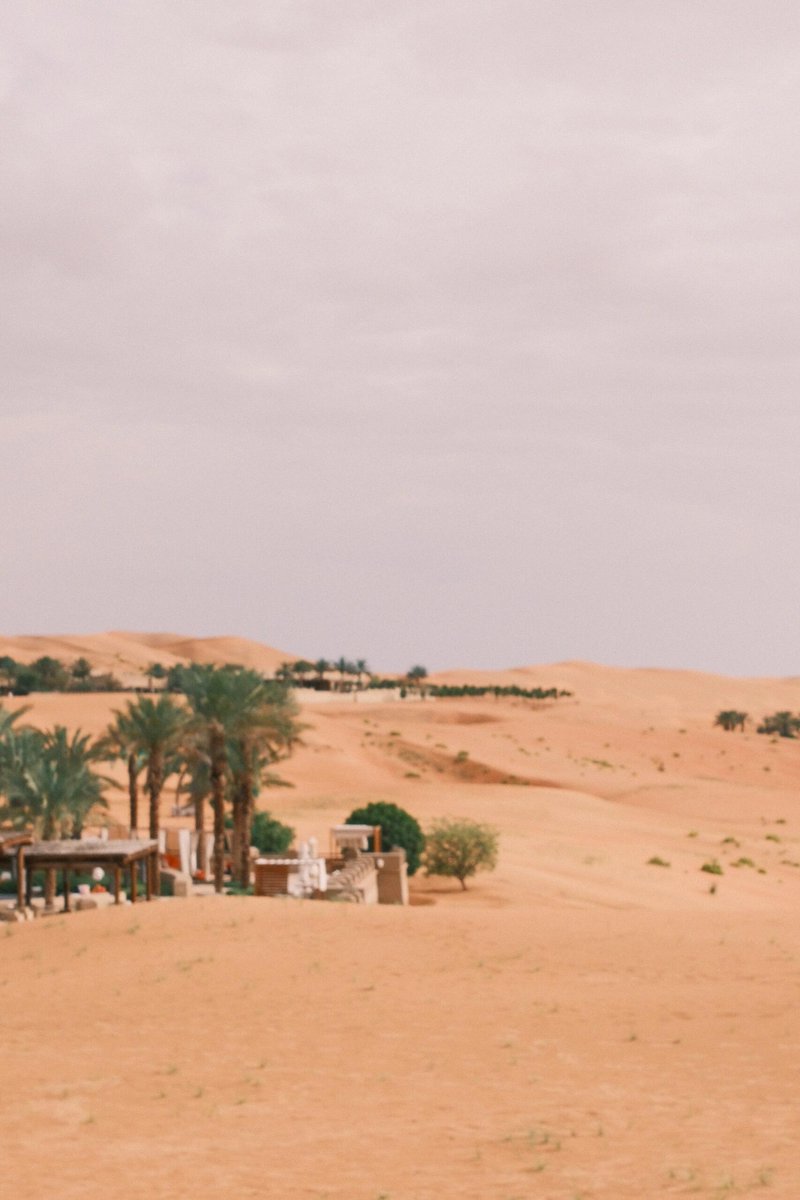 jdhlsn's tweet photo. I like the desert https://t.co/3GNlkaPlym